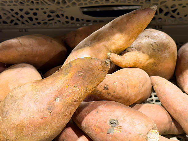 istock Fresh sweet potatoes in market display 2201986500
