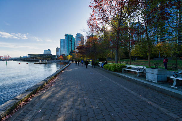 Vancouver, BC, Canada - April 28, 2024: The Chevron Coal Harbour Marina floating gas station barge with a background of Stanley Park in Vancouver, British Columbia.