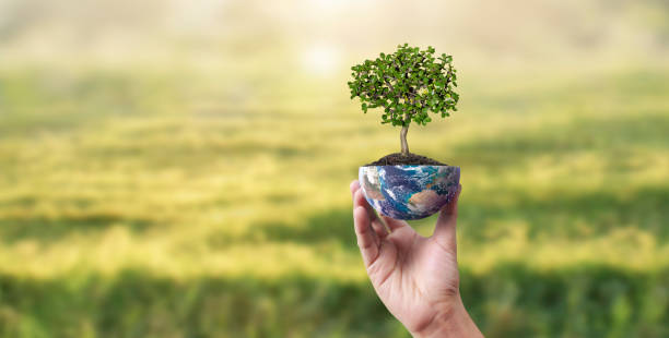 istock Globe ,earth in human hand, holding. Earth image provided by Nasa 2201999116