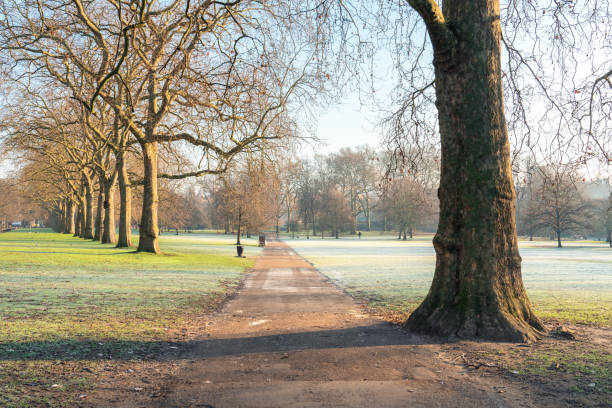 istock Frosty pathway in a park during a cold winter morning 2201999487