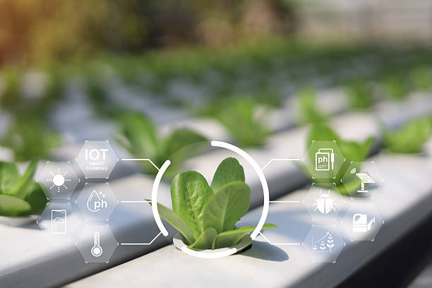 istock IOT smart farmer concept, Modern technology for sustainable practices, wiht intelligent AI digital farm to control planting. Precision agriculture, Climate monitoring, Farm management system. 2202006354
