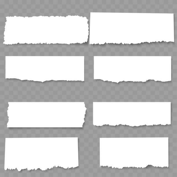 stockillustraties, clipart, cartoons en iconen met torn paper edges white vector - geknipt of gescheurd papier
