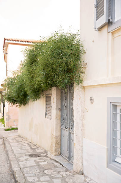 istock Charming Mediterranean house with greenery and ornate metal gate 2202008659
