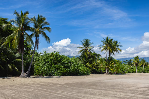 istock Bahia Ballena beach, popular beautiful beache at pacific coast, 2202008759