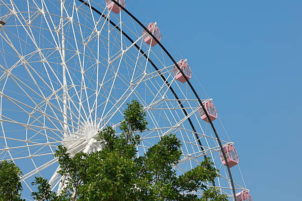 istock Pink cherry blossoms and pink Ferris wheel 2202008916