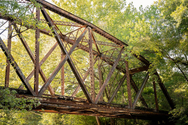istock Rusty abandoned railway bridge with metal trusses amid lush greenery 2202008965