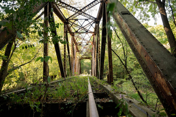 istock Overgrown abandoned railway bridge with rusty tracks and lush greenery 2202008969