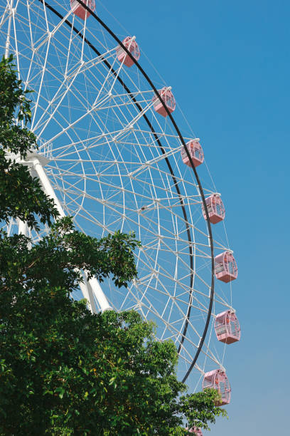 istock Pink cherry blossoms and pink Ferris wheel 2202008974