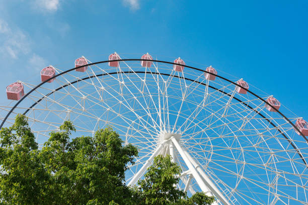 istock Pink cherry blossoms and pink Ferris wheel 2202008997