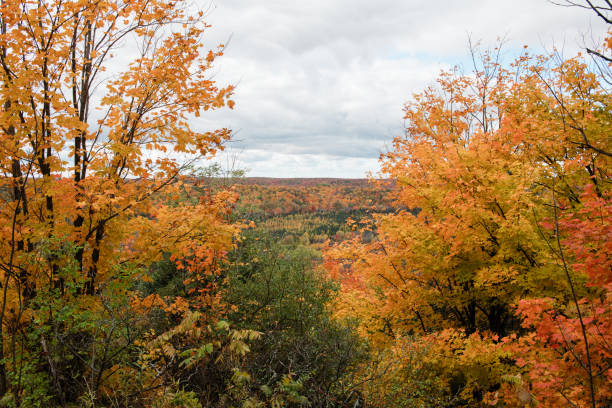 istock An Autumn Michigan Forest Overlook 2202009017