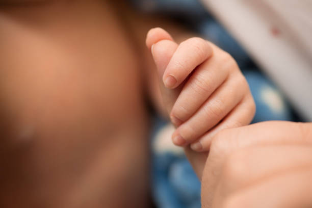 istock Tiny newborn baby human hands and fingers 2202010736