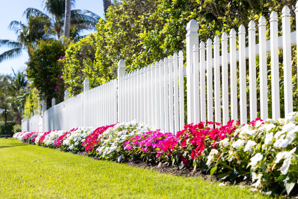 Colorful impatiens flowers growing along a white picket fence in Florida.
