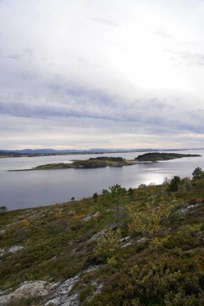 istock Tranquil Fjord and Lush Greenery 2202013776