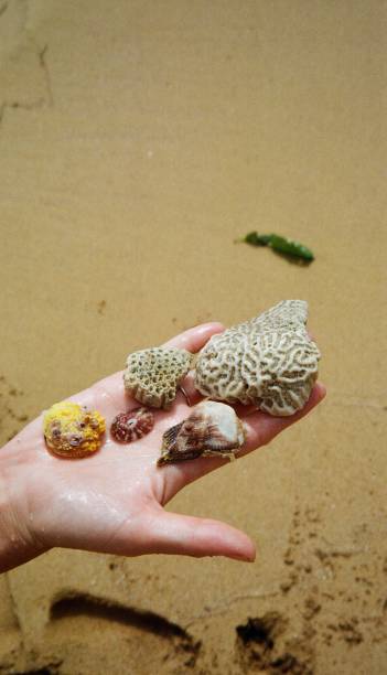 istock Sea water jewells 2202023235