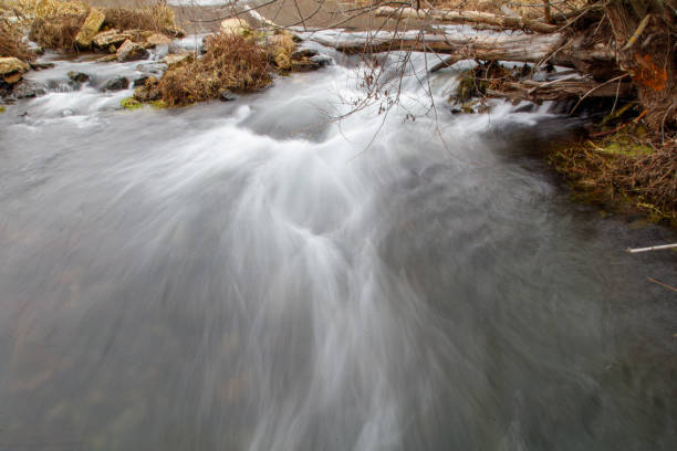 A collection of smooth natural stones scattered along the shallow edge of a flowing river. The water flows gently over the rocks, creating a peaceful and organic landscape. Ideal for themes of nature, geology, riverbank textures, and environmental elements.