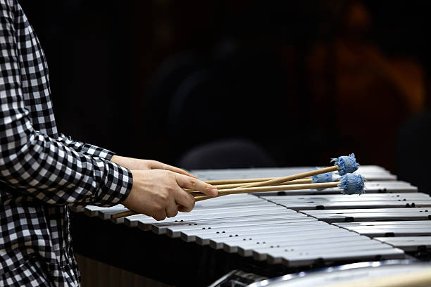 istock Vibraphone fragment in the orchestra 2202029847