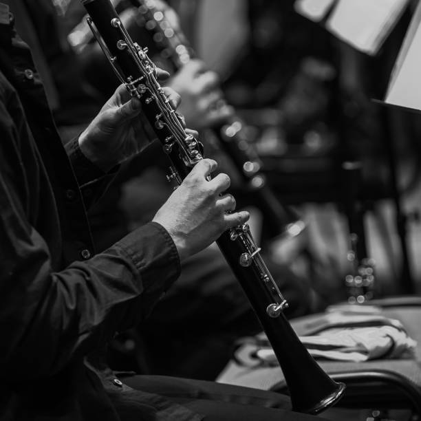 istock Hands musician playing the clarinet 2202030004
