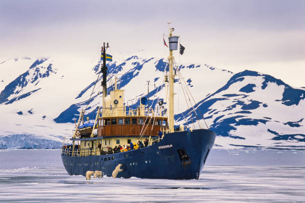 Svalbard, Norway-July, 2022: Tourist on a ship looking at Polar Bears