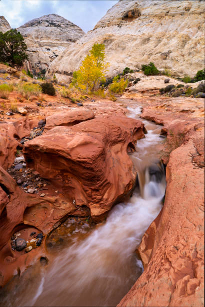 Creek Flowing Through Red Rock Canyon - Fall autumn desert landscape with fall colors and cascading creek carving its way through red sandstone. Utah, Red rock canyon country, USA.