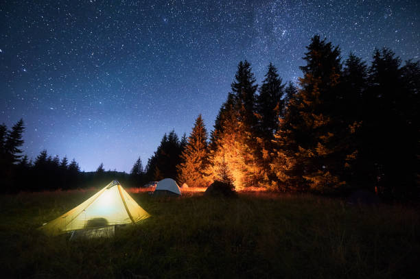 istock Several tents illuminated by glowing campfire in grassy clearing under clear, starry sky. 2202031333