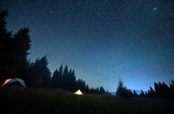 Several tents illuminated by glowing campfire in grassy clearing under clear, starry sky. Surrounded by tall pine trees in the mountains. Tranquil beauty of night spent camping in nature.