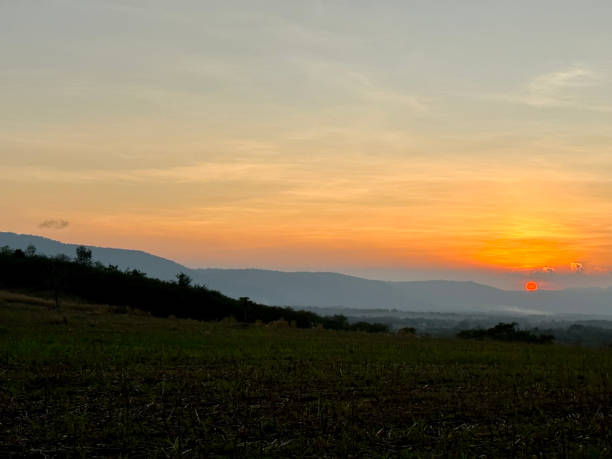 istock Sunset in Khao Yai - Thailand 2202032401