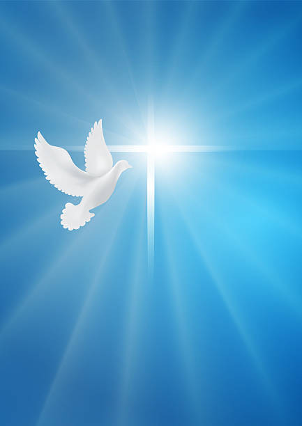 Dove whit christian cross symbol. Crucifix. Easter. Sign of purity. Faith. Baptism. Holy Spirit. Evangelization. Resurrection. Blue background with bright rays. Poster copy space Possible use in the Christian religious sector.
Easter, resurrection, peace and purity concept. Christian symbol. Resurrection of Jesus Christ. Faith in God. Symbol of the Holy Spirit. Christian baptism. Christian evangelization in the world gospel stock illustrations