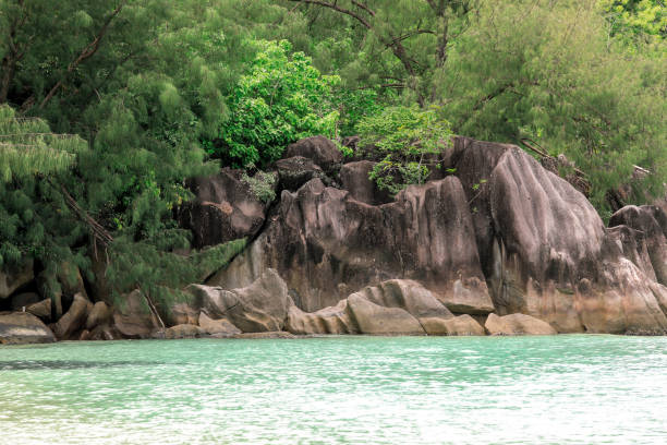 The water glistens as large rock formations rise from the shore, surrounded by vibrant greenery in Seychelles.
