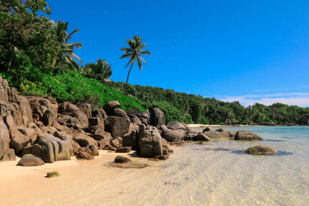 istock Pristine beach in Seychelles with clear waters and lush greenery under bright blue sky 2202037025