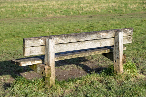The Mount viewpoint wooden bench Guildford Surrey England Europe
