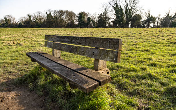 The Mount viewpoint wooden bench Guildford Surrey England Europe