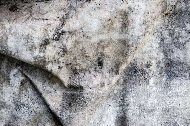 istock Gray Mold Stained Fabric Texture with Vintage Aged Appearance 2202038854