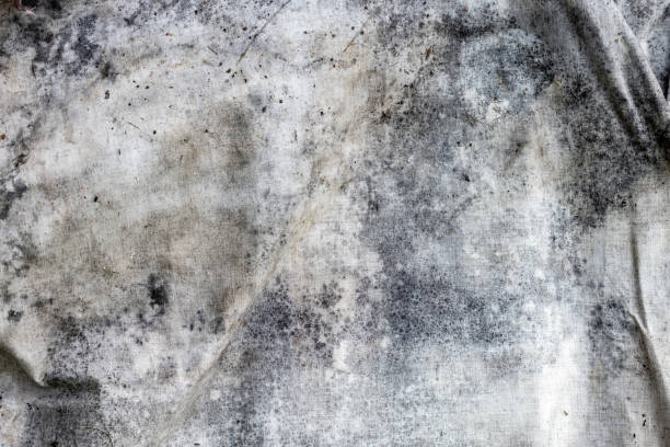 istock Gray Mold Stained Fabric Texture with Vintage Aged Appearance 2202038881
