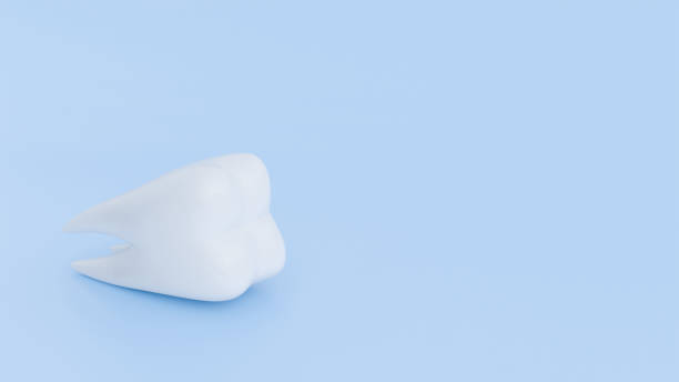 istock 3D model of a white molar tooth on a blue background, dentistry 2202039378