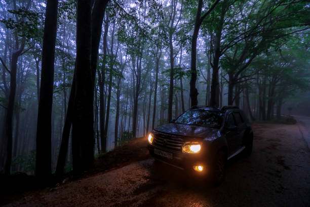 Watch For Wildlife. Large SUV in Front of a Deer in Deep Forest at Night. Road Danger at Night. Deer Crossing. Wildlife Photo Collection.