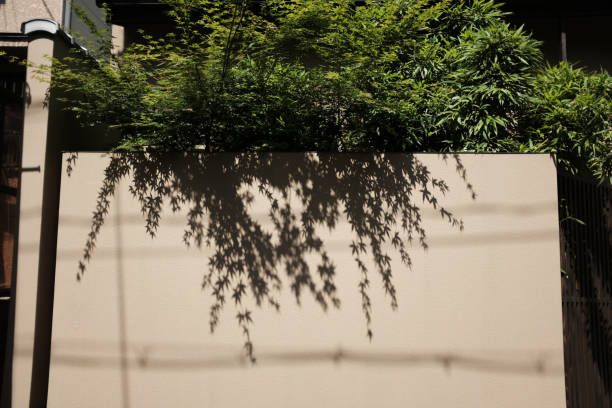 A photo of living things in the forest