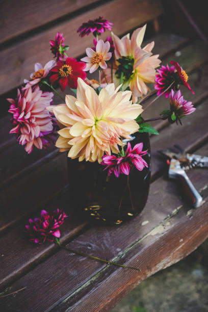 istock Dahlia Arrangement with Pruning Shears on a Garden Bench 2202049487