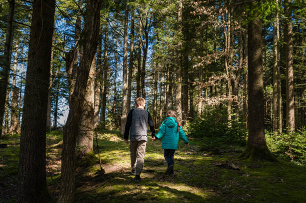 istock Brother and sister holding hands, walking on a path through a sunlit forest. 2202049567