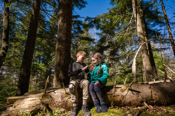 Siblings explore nature's wonders, seated on a fallen log amidst towering trees. Sunlight filters through the leaves, creating a magical atmosphere.