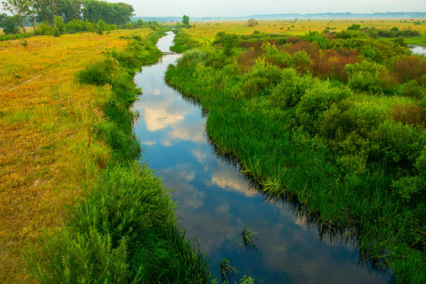istock a small river among green fields with reflections of blue sky and clouds. view from above. 2202050601