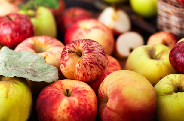istock Fresh ripe colorful apples on wooden rustic background 2202060022