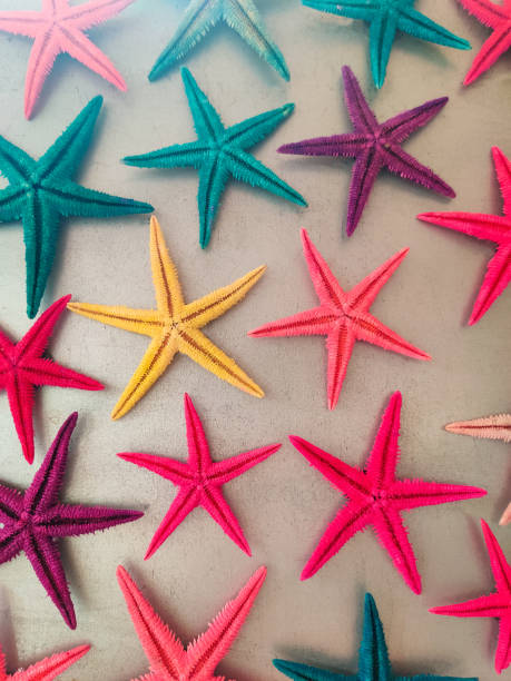 istock a composition of colored starfish on a gray background 2202064978