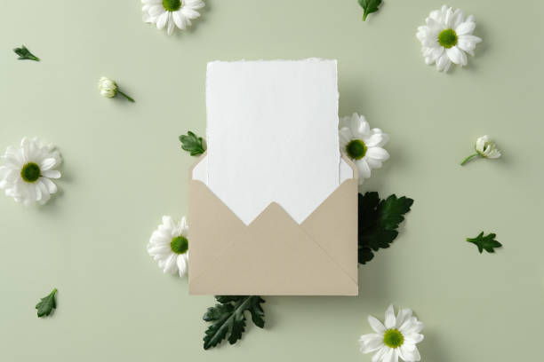 istock Beige envelope with blank white card surrounded by white daisies on a light green background, perfect for invitations, greeting cards 2202067062