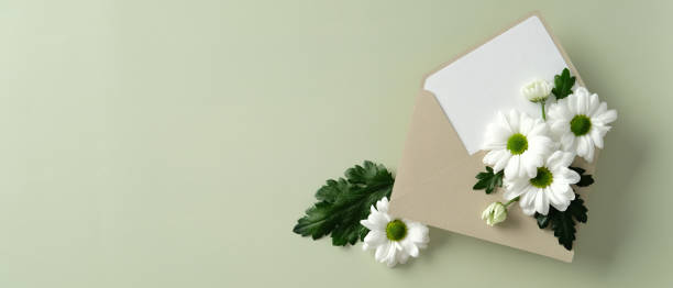 Beige envelope with white daisies and green leaves on a light green background, perfect for spring or summer-themed designs, invitations, or greeting cards