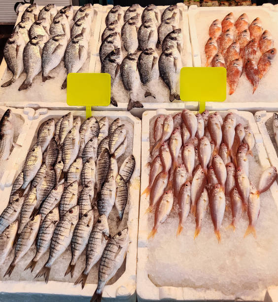 istock many different fresh seafood fish on the counter in the store 2202068733