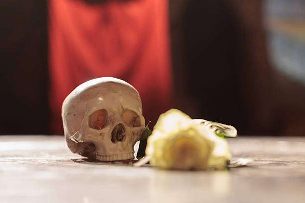 Human skull replica with yellow rose on the floor