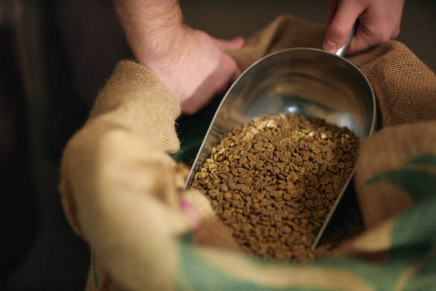 istock Man Filling Scoop with Coffee Beans 2202071957
