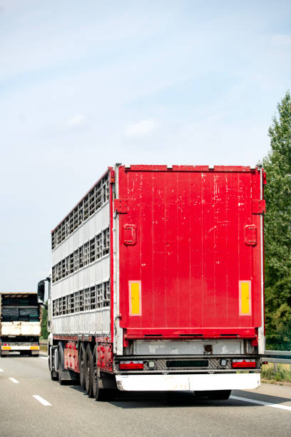 istock Animal transport truck 2202085073