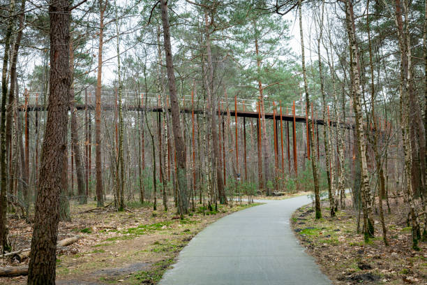 cycling through the trees ,This cycle path safely takes you into higher realms. Quite literally - because you cycle around a double circle up to a height of 10 metres between the trees in belgium