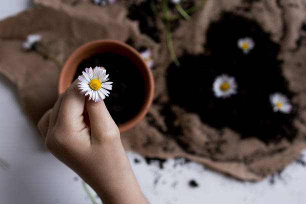 Two hands gently hold and exchange a vibrant yellow flower, symbolizing kindness and connection in a serene natural setting. The image captures a moment of sharing and appreciation for nature's simple beauty.